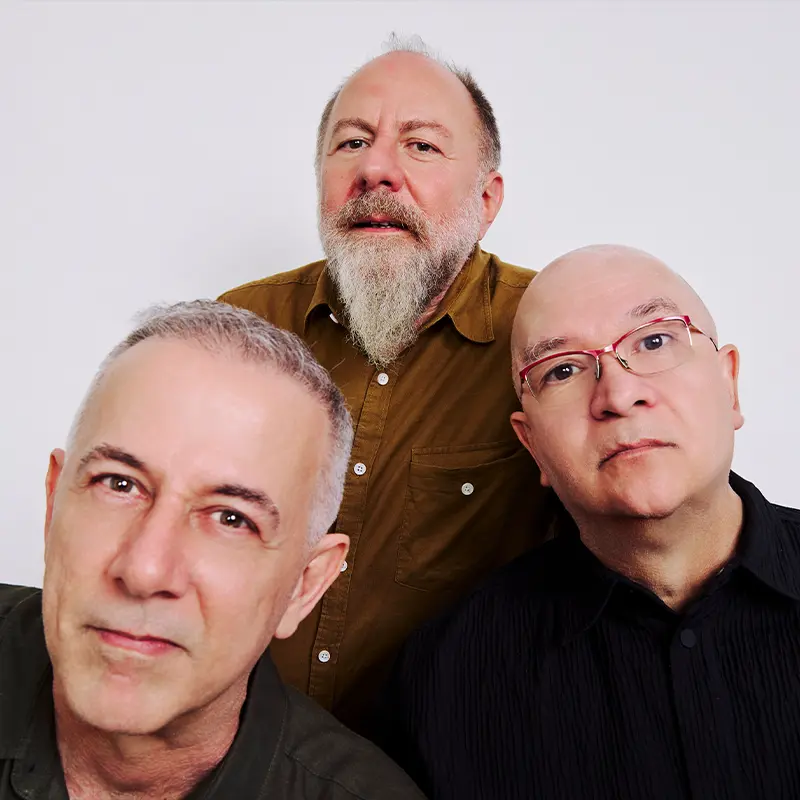 Os Paralamas do Sucesso